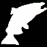 Jumping King Salmon