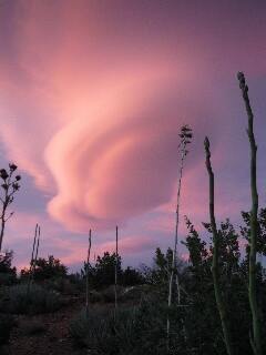 Pacific Crest Trail