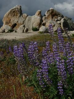 Pacific Crest Trail, Eagle Rock