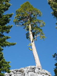 Marble Mountain Wilderness