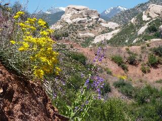 Pacific Crest Trail, Cajon Junction