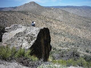 Pct through the Mojave