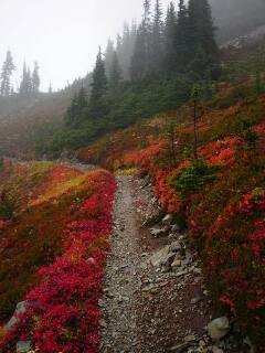 Fall colors on the Pacific Crest Trail
