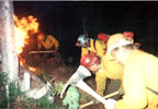 Smokejumpers on Kodiak