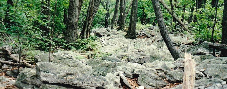Pennsylvania Rocks on the Appalachian Trail