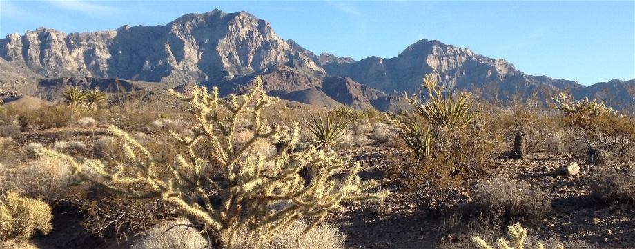 Providence Mountains, Desert Trail