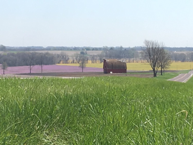 Missouri Farm  Country and Flowers