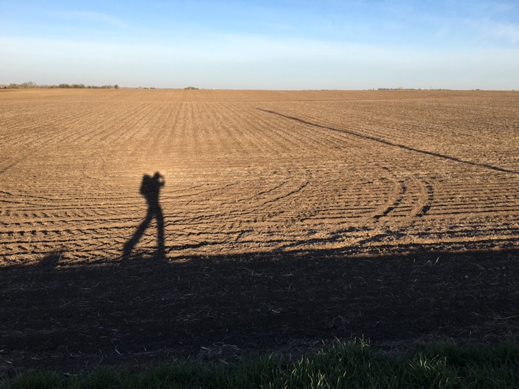 My shadow on a Kansas field