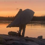 Mackenzie River System